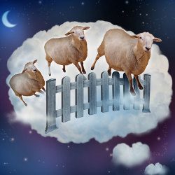 image of sheep in the dark night sky