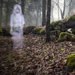 image of child ghost in the forest