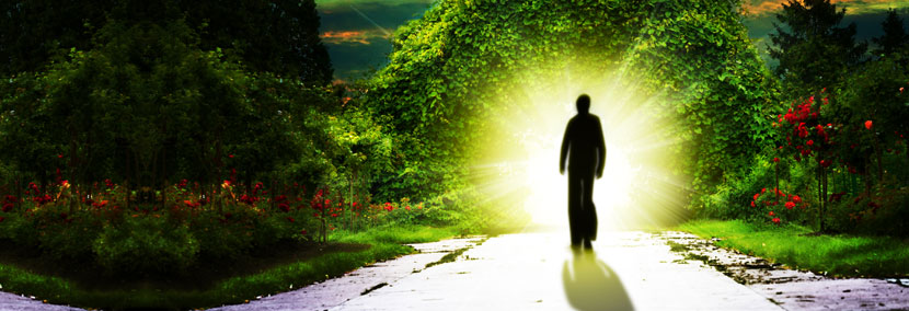 image of a psychic approaching the garden of eden