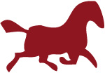 image of the horse chinese horoscope sign