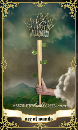 image of the ace of wands tarot card