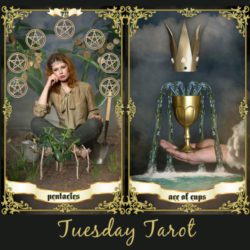 image of woman sitting surrounded by 7 of pentacles