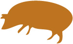 image of the pig chinese zodiac sign in gold