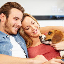 image of a happy couple on the couch with their happy dog