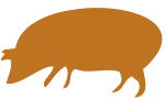 2019 Year of the Brown Earth Pig
