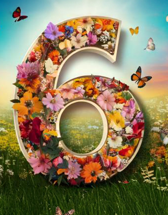a bold number 6 covered in flowers and butterflies