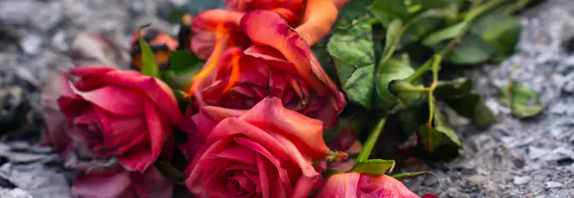 roses left at the grave