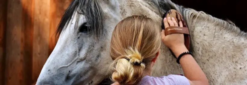 A woman is gently taking care of the horse
